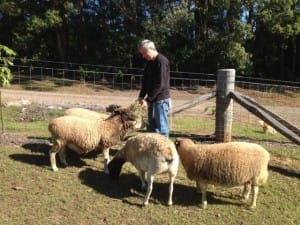 On the Farm